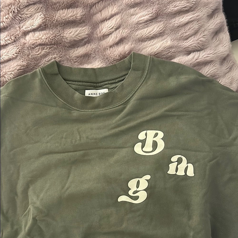 Anine Bing Green and White Casual Crew Neck Sweatshirt